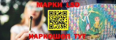 дмт Гатчина