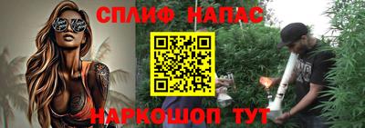 дмт Гатчина