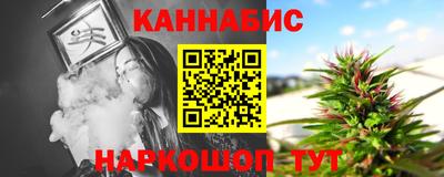 дмт Гатчина