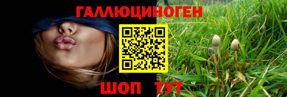 Псилоцибиновые грибы мухоморы Нижнекамск