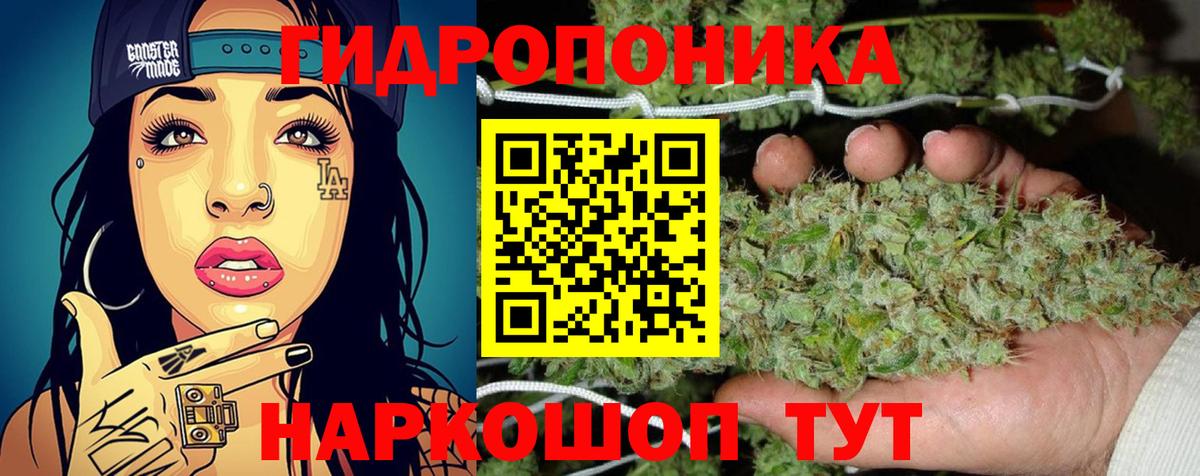 Каннабис AK-47  Вход с VPN  Нижнекамск  Шишки марихуана SATIVA & INDICA  МАРИХУАНА SATIVA & INDICA 